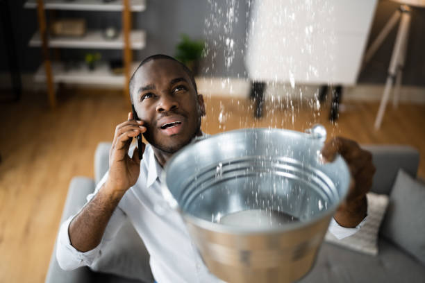 Best Residential water damage restoration  in Braham, MN