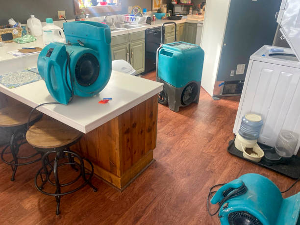 Reliable Braham, MN Water damage restoration Solutions