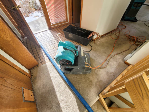 Best Flood damage cleanup  in Braham, MN