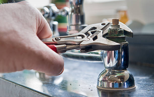Best Flooded house restoration  in Braham, MN