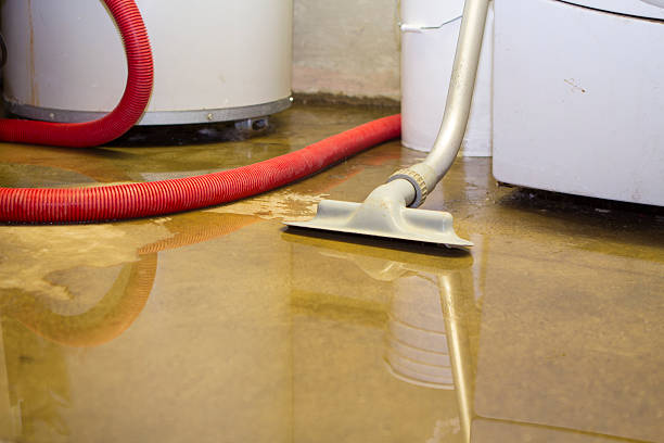 Best Local water damage restoration  in Braham, MN